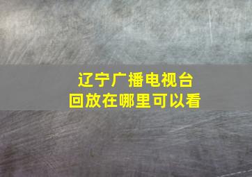 辽宁广播电视台回放在哪里可以看