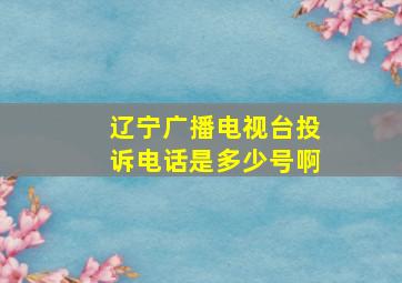 辽宁广播电视台投诉电话是多少号啊