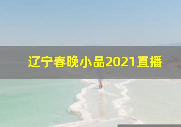 辽宁春晚小品2021直播