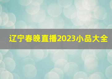 辽宁春晚直播2023小品大全