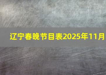 辽宁春晚节目表2025年11月