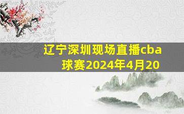 辽宁深圳现场直播cba球赛2024年4月20