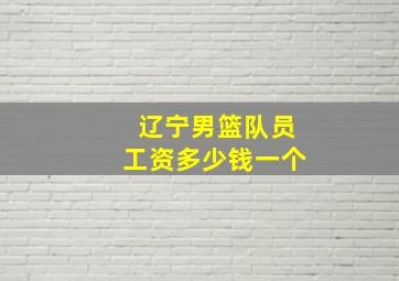 辽宁男篮队员工资多少钱一个