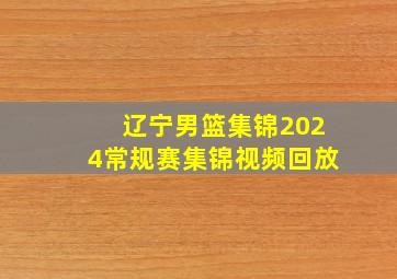 辽宁男篮集锦2024常规赛集锦视频回放