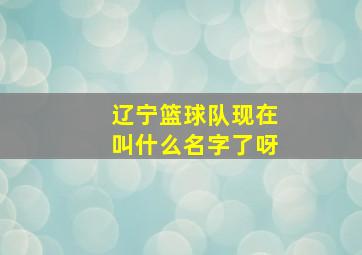 辽宁篮球队现在叫什么名字了呀