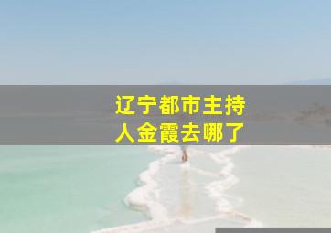 辽宁都市主持人金霞去哪了