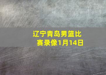 辽宁青岛男篮比赛录像1月14日