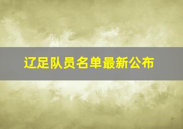 辽足队员名单最新公布