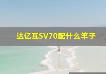 达亿瓦SV70配什么竿子