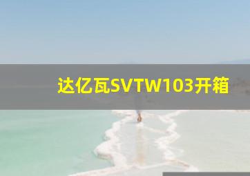 达亿瓦SVTW103开箱