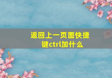 返回上一页面快捷键ctrl加什么