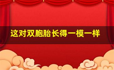 这对双胞胎长得一模一样