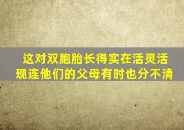 这对双胞胎长得实在活灵活现连他们的父母有时也分不清