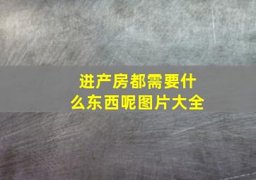 进产房都需要什么东西呢图片大全