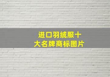 进口羽绒服十大名牌商标图片