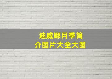 迪威娜月季简介图片大全大图