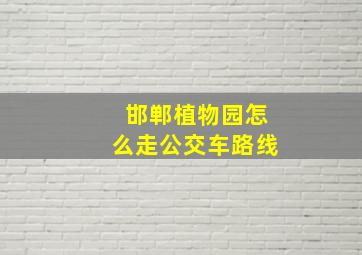 邯郸植物园怎么走公交车路线