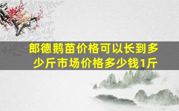 郎德鹅苗价格可以长到多少斤市场价格多少钱1斤