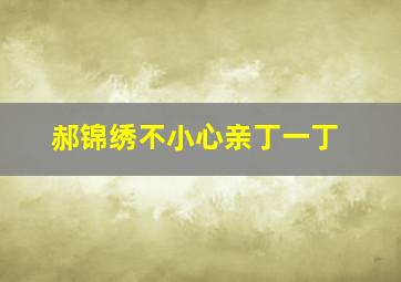 郝锦绣不小心亲丁一丁