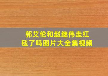 郭艾伦和赵继伟走红毯了吗图片大全集视频