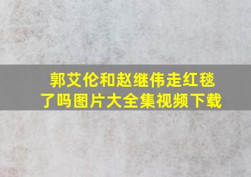 郭艾伦和赵继伟走红毯了吗图片大全集视频下载