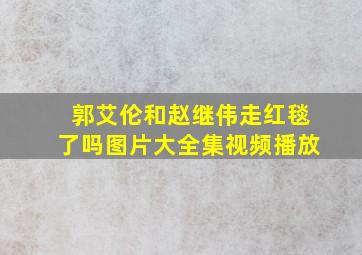 郭艾伦和赵继伟走红毯了吗图片大全集视频播放