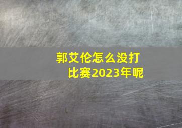 郭艾伦怎么没打比赛2023年呢