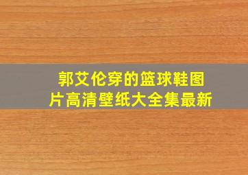 郭艾伦穿的篮球鞋图片高清壁纸大全集最新