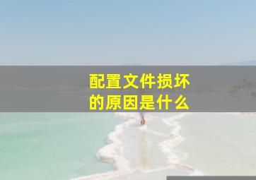 配置文件损坏的原因是什么