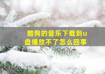 酷狗的音乐下载到u盘播放不了怎么回事