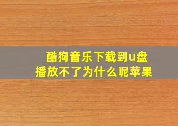 酷狗音乐下载到u盘播放不了为什么呢苹果