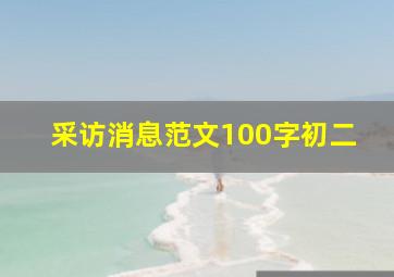 采访消息范文100字初二