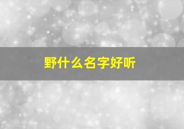 野什么名字好听