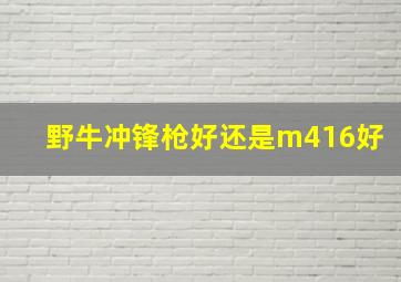 野牛冲锋枪好还是m416好