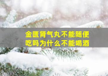 金匮肾气丸不能随便吃吗为什么不能喝酒