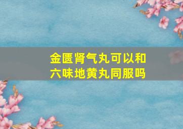 金匮肾气丸可以和六味地黄丸同服吗