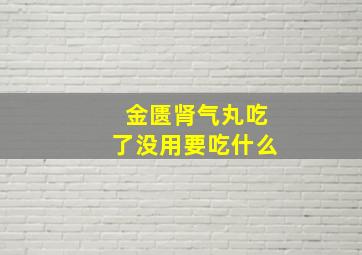 金匮肾气丸吃了没用要吃什么