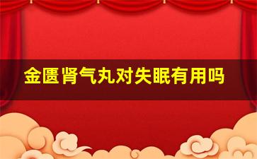 金匮肾气丸对失眠有用吗