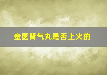 金匮肾气丸是否上火的