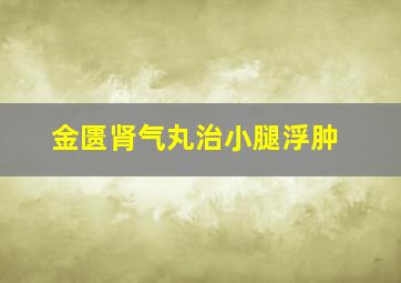 金匮肾气丸治小腿浮肿