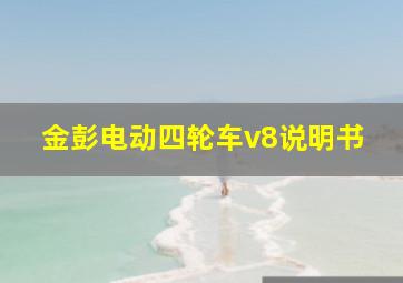 金彭电动四轮车v8说明书