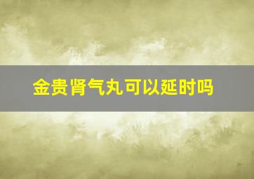 金贵肾气丸可以延时吗