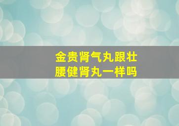 金贵肾气丸跟壮腰健肾丸一样吗