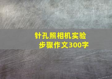 针孔照相机实验步骤作文300字