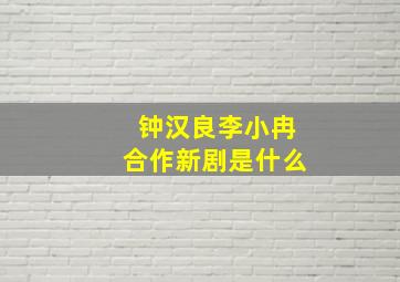 钟汉良李小冉合作新剧是什么