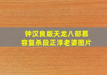 钟汉良版天龙八部慕容复杀段正淳老婆图片