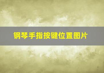 钢琴手指按键位置图片