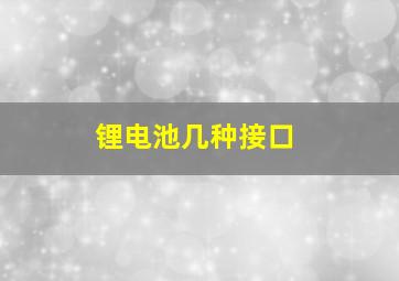 锂电池几种接口