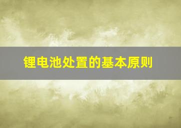 锂电池处置的基本原则