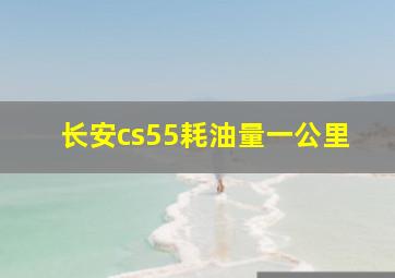 长安cs55耗油量一公里